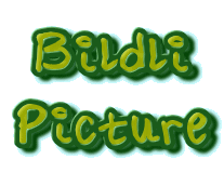 Bildli
Picture